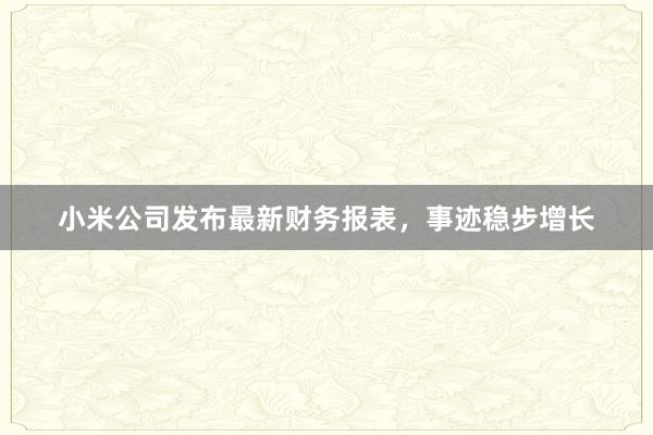 小米公司发布最新财务报表，事迹稳步增长